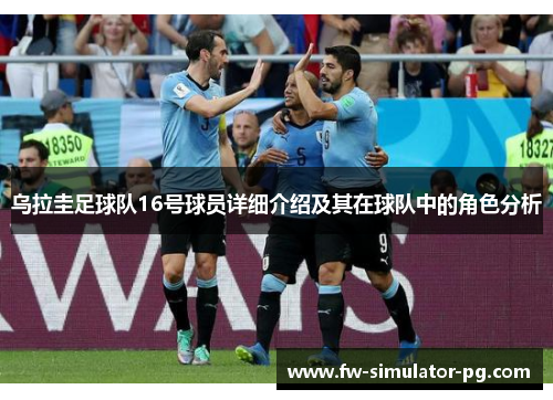 乌拉圭足球队16号球员详细介绍及其在球队中的角色分析