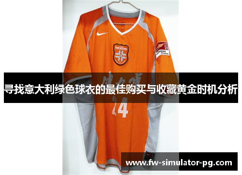 寻找意大利绿色球衣的最佳购买与收藏黄金时机分析 寻找意大利绿色球衣的最佳购买与收藏黄金时机分析
