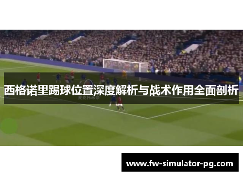 西格诺里踢球位置深度解析与战术作用全面剖析