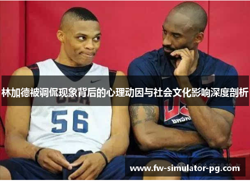 林加德被调侃现象背后的心理动因与社会文化影响深度剖析